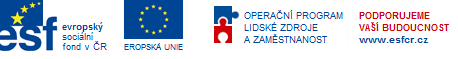 Logo - Operační program Lidké zdroje a zaměstnanost